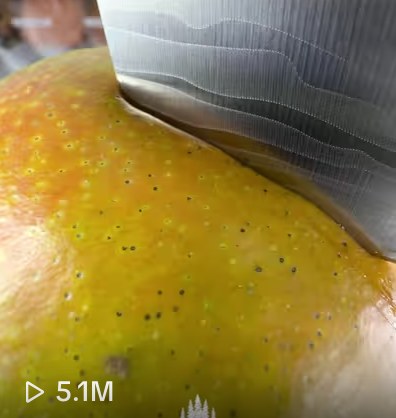 Screenshot of the client video at 5.1M views